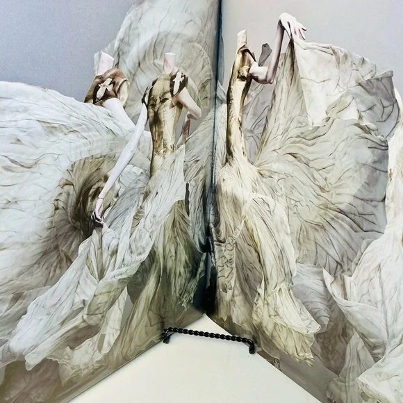 Alexander McQueen: Savage Beauty - Large Coffee Table Book - Picture 7 of 14